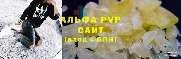 эйфоретик Баксан